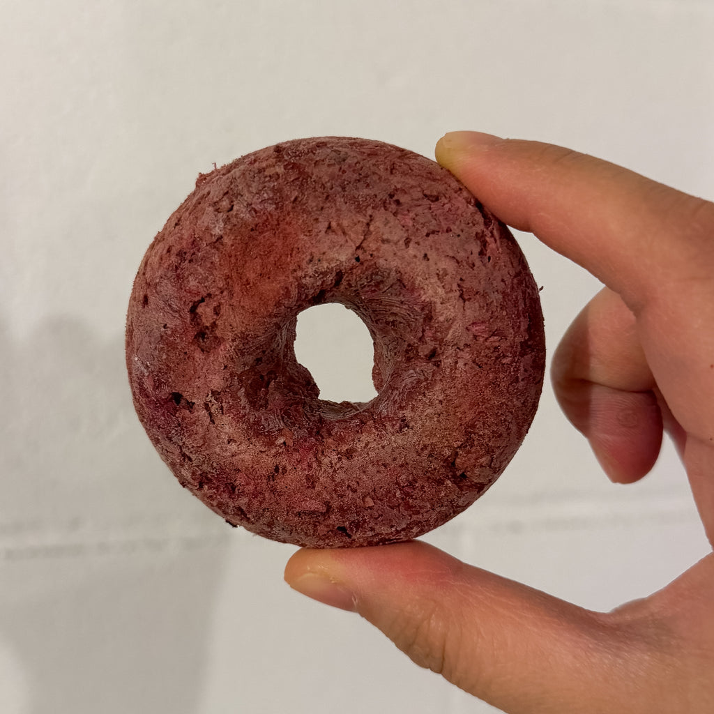 PRE-ORDER Freeze Dried Turkey Cranberry Donut