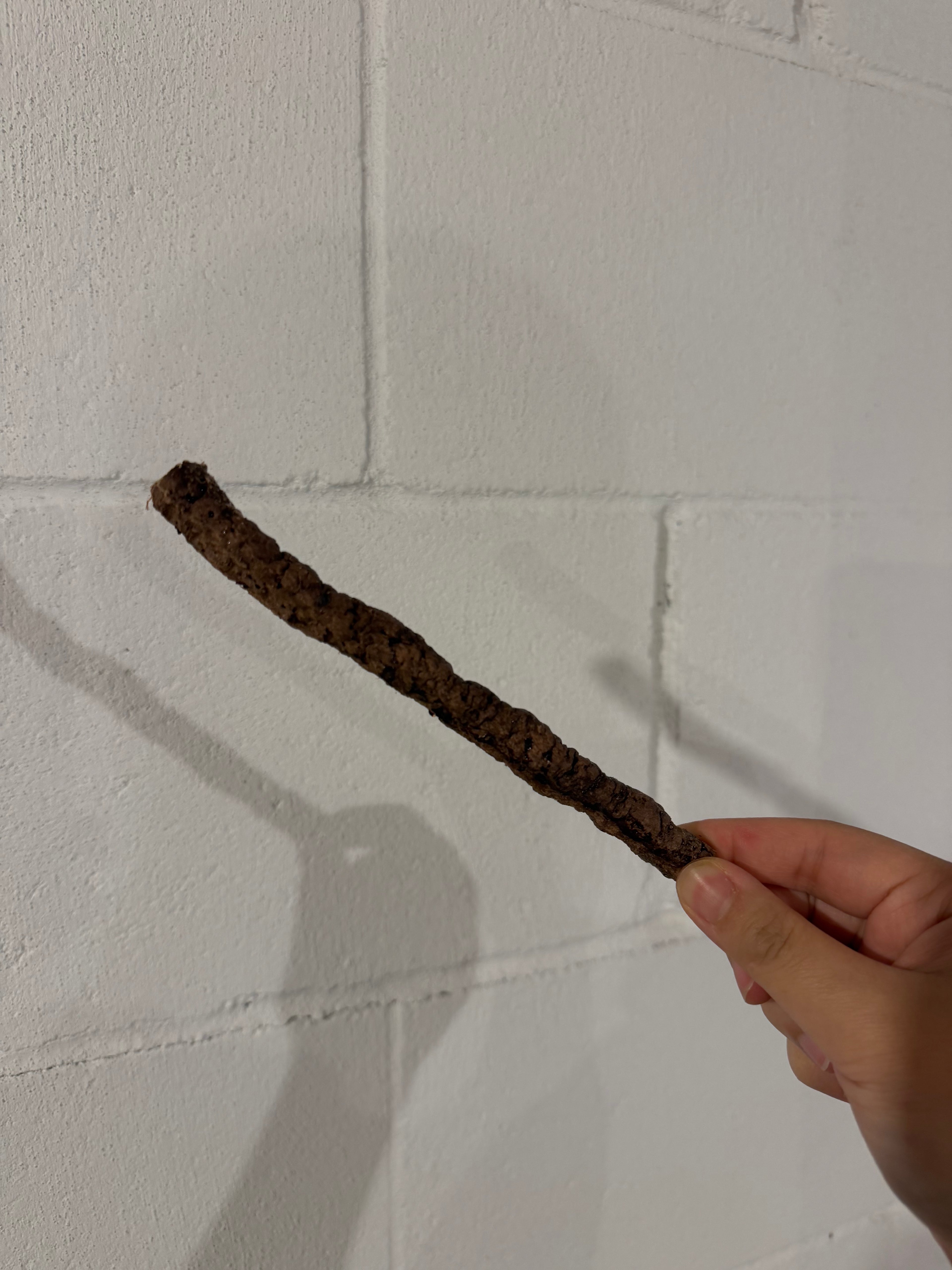 Venison Stick