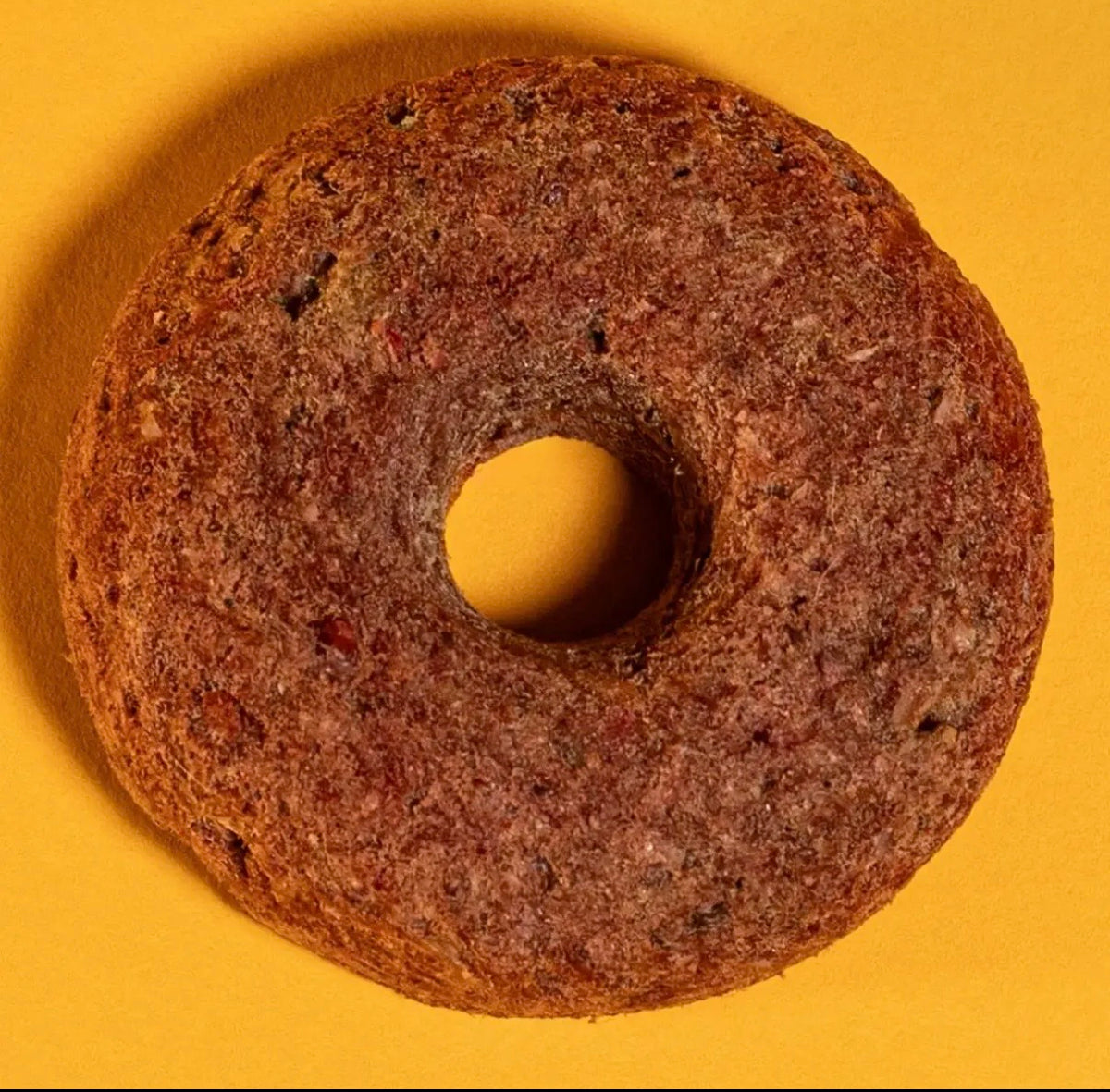 PRE-ORDER Freeze Dried Turkey Cranberry Donut