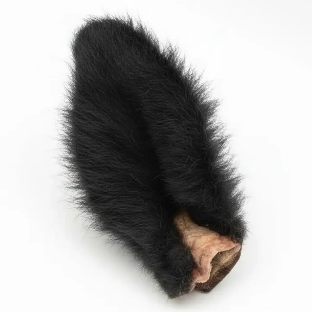 LIMITED EDITION Spooktacular Bison Ear